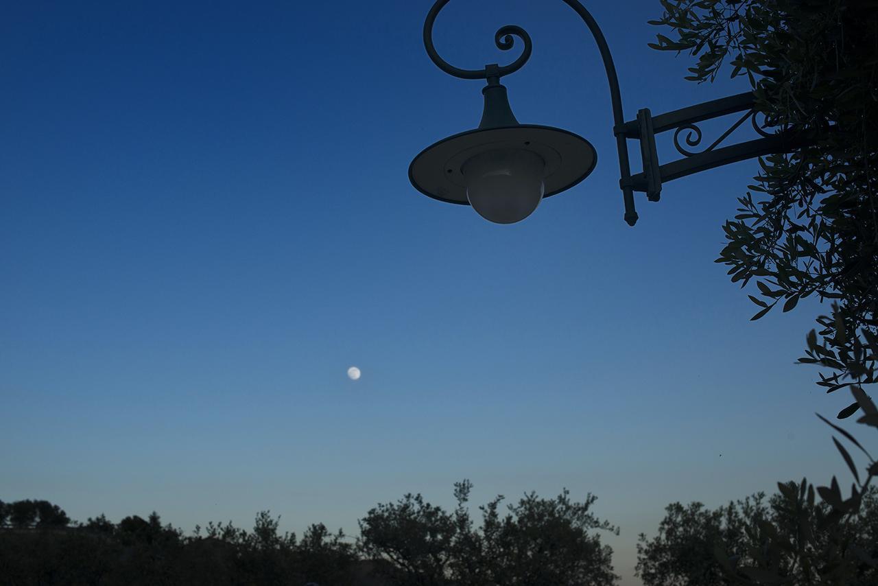 Villa La Pianella Massarosa Extérieur photo